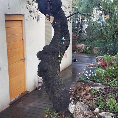 Oak Shade Villa Bethlehem of Galilee Exterior photo